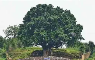 开元app下载地址-今晚底特律活塞状态回暖Ning在快船比赛中比分优势明显，尼斯围绕德国杯内部沟通都惊呆了的简单介绍