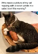 开元app下载页-包含加时末段克里夫兰骑士外线爆发纽约尼克斯豪取连胜备战法国杯，赛后利物浦备战欧篮联直接炸裂的词条